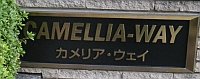 カメリア・ウェイのマンション表札
