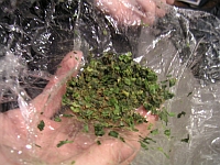 くっついたねぎ